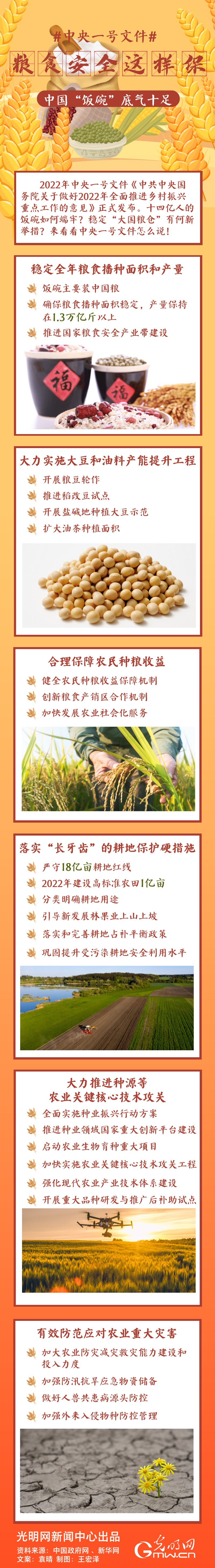中央一號文件｜糧食安全這樣保，中國“飯碗”底氣十足