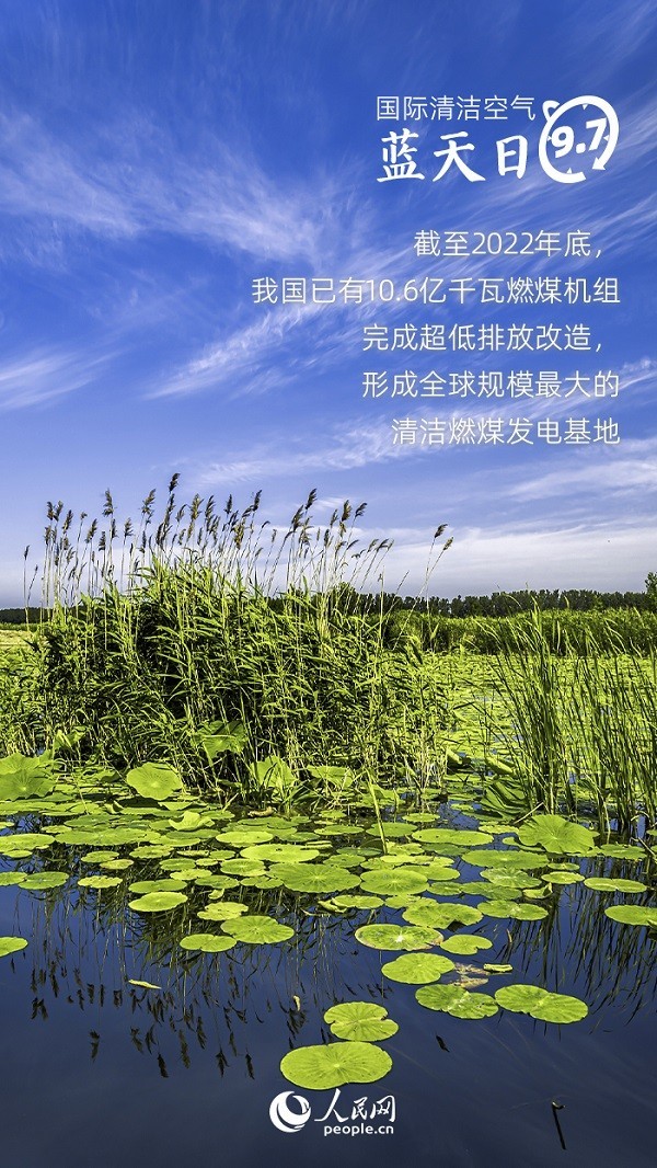 資料來源：生態(tài)環(huán)境部、人民日報