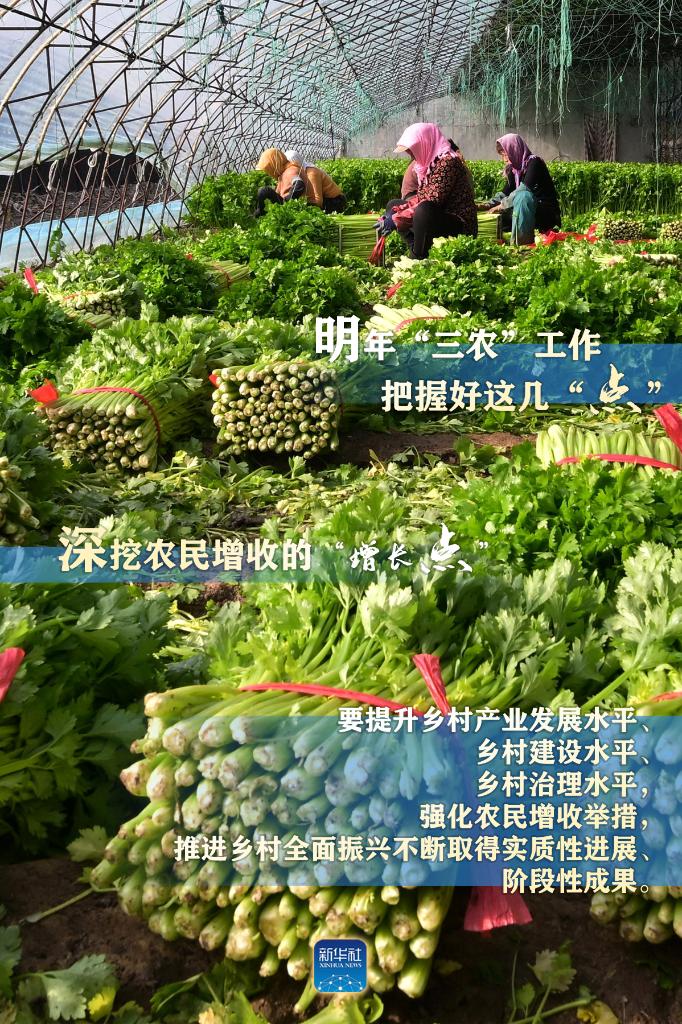 明年“三農(nóng)”工作，這幾個(gè)“點(diǎn)”要把握好