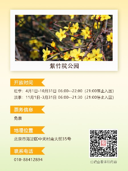 追花指南第二期！京城三月里最撩人的玉蘭觀賞地