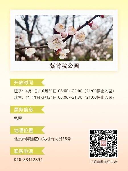 追花指南第六期！杏花雨 楊柳風(fēng) 北京最美的杏花在這里