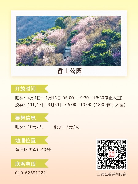 追花指南第六期！杏花雨 楊柳風(fēng) 北京最美的杏花在這里