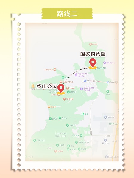 追花指南第六期！杏花雨 楊柳風(fēng) 北京最美的杏花在這里