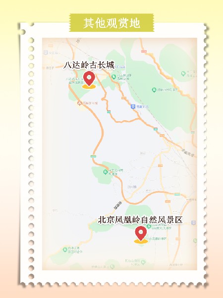追花指南第六期！杏花雨 楊柳風(fēng) 北京最美的杏花在這里