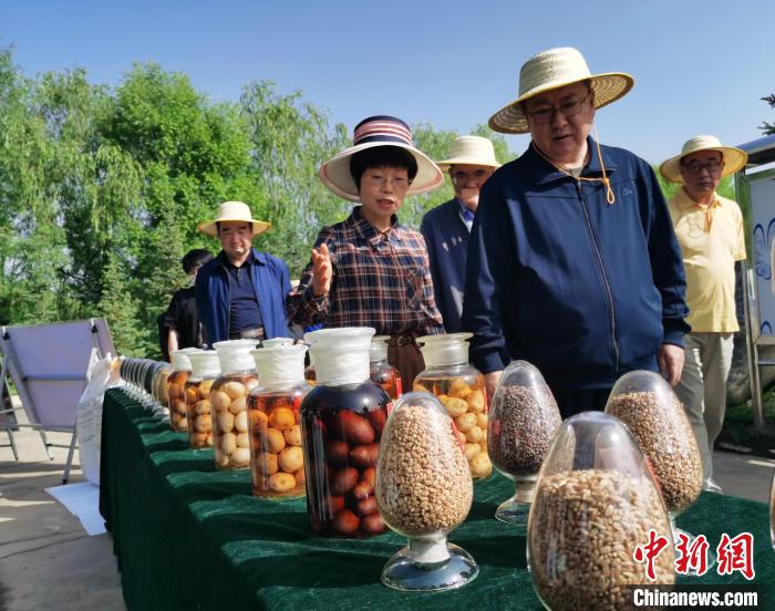 青海：利用冷涼氣候，打造高原綠色種業(yè)輸出地