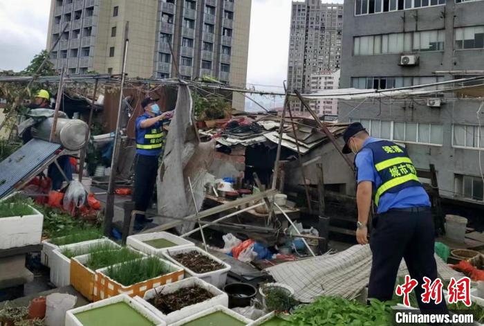 在一處居民樓屋頂，城管隊(duì)員拆除“空中菜園”。　金茜 攝