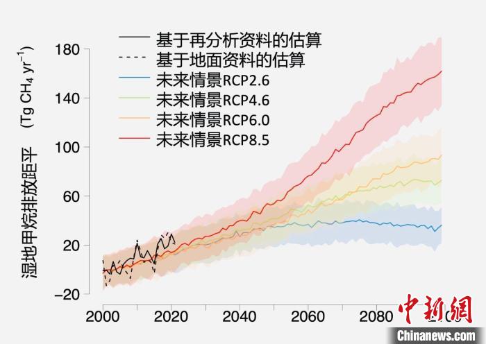 基于觀測的濕地甲烷排放變化與未來氣候變化情景下估算的對比。　中科院青藏高原所 供圖