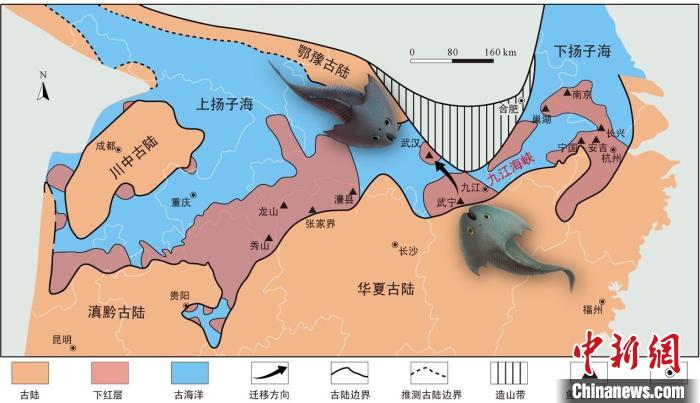 華南地區(qū)志留紀(jì)早期古地理圖和盔甲魚類化石產(chǎn)地(山顯任改自陳旭、戎嘉余，1996；戎嘉余等，2012) 中科院古脊椎所 供圖