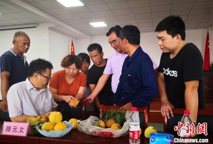 民進浙江省委會為三里橋黃桃種植戶送技術(shù)、送指導(dǎo)?！〖紊平y(tǒng)戰(zhàn) 供圖