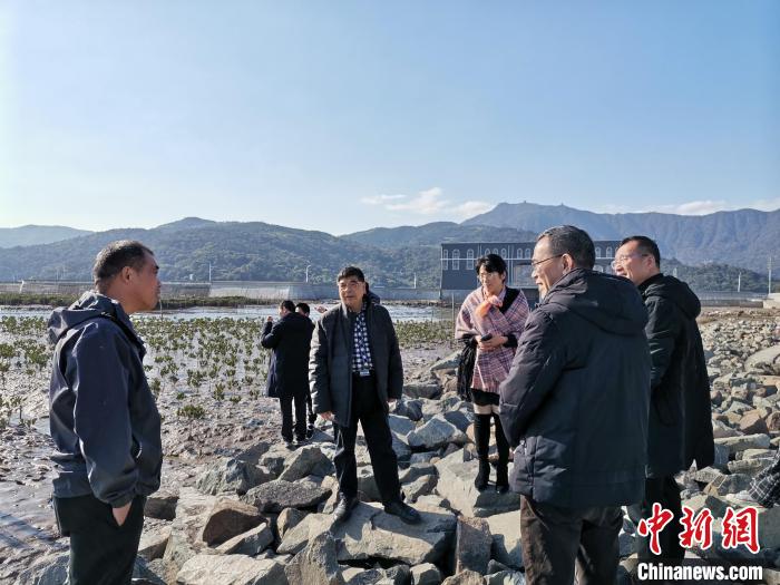浙江海洋生態(tài)觀察：智慧大腦如何解鎖藍色發(fā)展密碼？