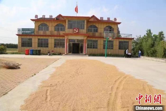 農(nóng)民在邳莊鎮(zhèn)尚莊村黨群服務(wù)中心大院里曬糧?！≠Z萌 攝