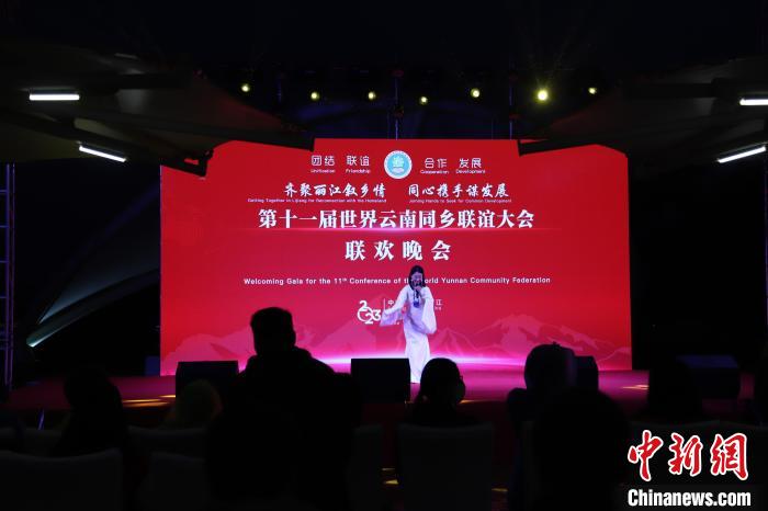 圖為第十一屆世界云南同鄉(xiāng)聯(lián)誼大會舉辦聯(lián)歡晚會。　崔永江 攝