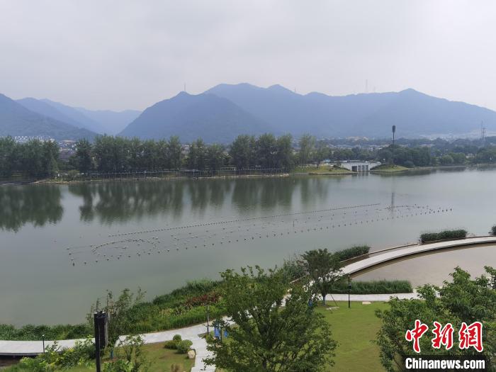 兩岸媒體共探杭州亞運(yùn)會(huì)“綠”在何處？
