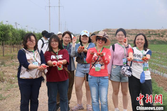 圖為臺(tái)胞體驗(yàn)大美內(nèi)蒙古?！⊥袐I供圖