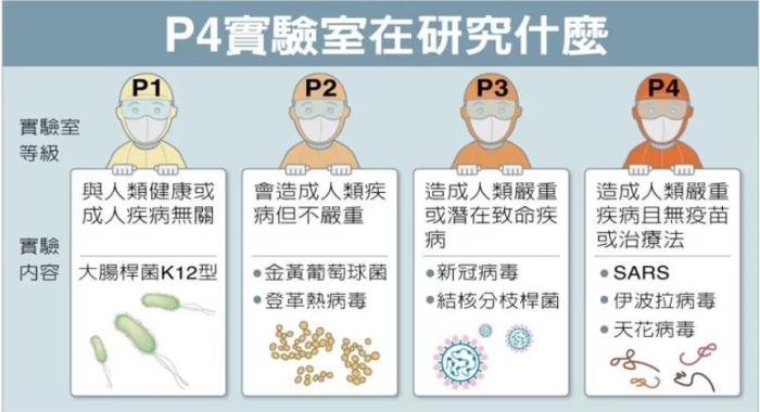 P4實驗室在研究什么。臺灣聯(lián)合新聞網(wǎng)資料圖