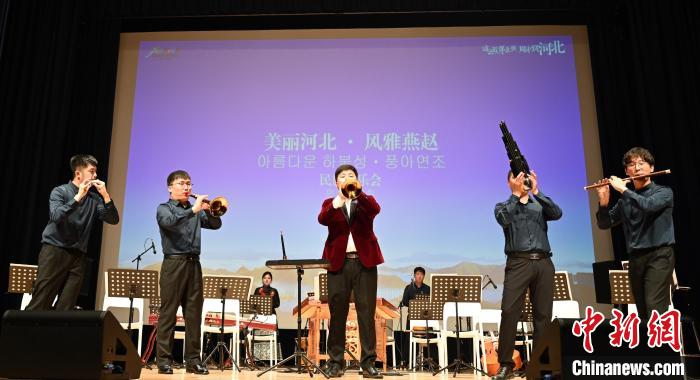 圖為音樂會現(xiàn)場?！∈谞栔袊幕行墓﹫D