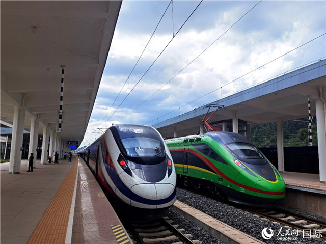 “復(fù)興號”和“瀾滄號”國際旅客列車?？吭诶蠐肽ザ≌?。人民網(wǎng) 杜明明攝