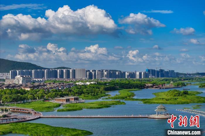 資料圖：航拍蘇州太湖湖濱國家濕地公園，藍天碧水生態(tài)美。 泱波 攝