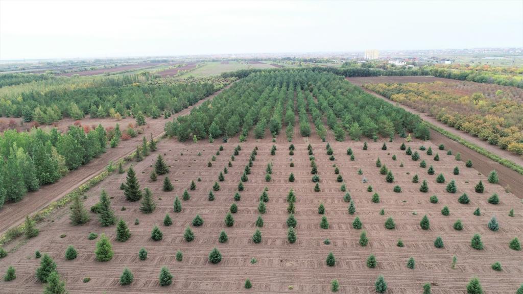 這是2023年9月11日在哈薩克斯坦首都阿斯塔納拍攝的一處植物種質(zhì)資源苗圃（無人機(jī)照片）。新華社發(fā)（法爾哈特·圖克諾夫 攝）