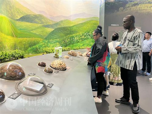   （在中國藥都中醫(yī)藥博物館，外媒記者了解中醫(yī)藥發(fā)展史。中國經(jīng)濟(jì)周刊記者 郭志強(qiáng) 攝）