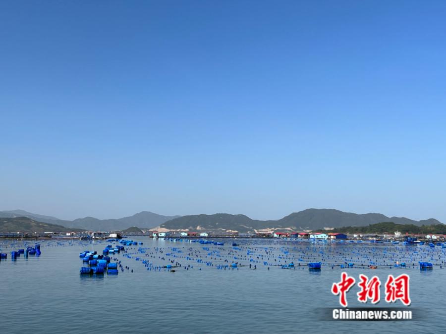 霞浦縣海上魚排。<a target='_blank' href='/' ><p  align=