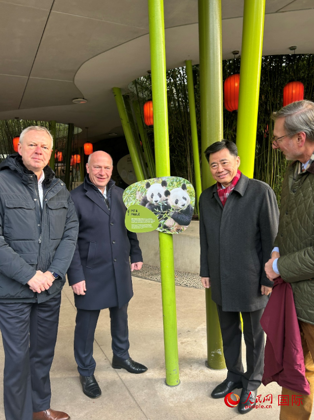 中國駐德國大使吳懇（右二）、柏林市長韋格納（左二）、動物園園長克尼里姆（右一）和監(jiān)事會主席布魯克曼（左一）共同為“夢想”“夢圓”大熊貓紀(jì)念牌揭幕。人民網(wǎng)記者 徐馨攝