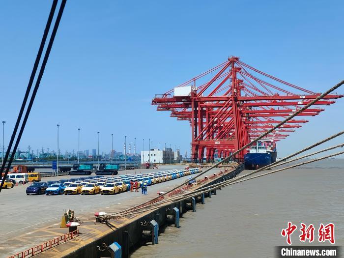 資料圖：國產(chǎn)新能源車在上海外高橋港區(qū)海通碼頭“整裝待發(fā)”?！∑址?攝