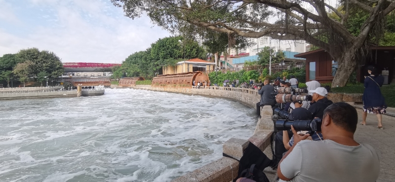 筼筜湖畔，許多攝影愛好者在拍攝白鷺。廈門市觀鳥協(xié)會(huì)彭志偉供圖