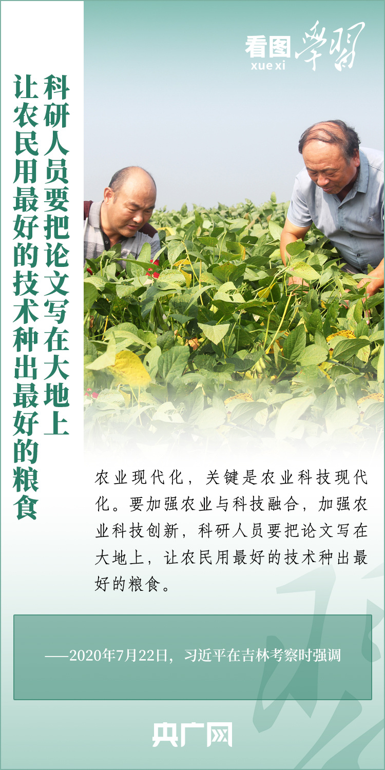 看圖學習丨推廣良田、良種、良法、良機 給農(nóng)業(yè)現(xiàn)代化插上科技的翅膀