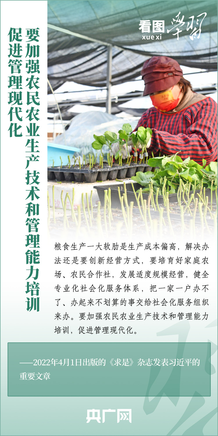 看圖學習丨推廣良田、良種、良法、良機 給農(nóng)業(yè)現(xiàn)代化插上科技的翅膀