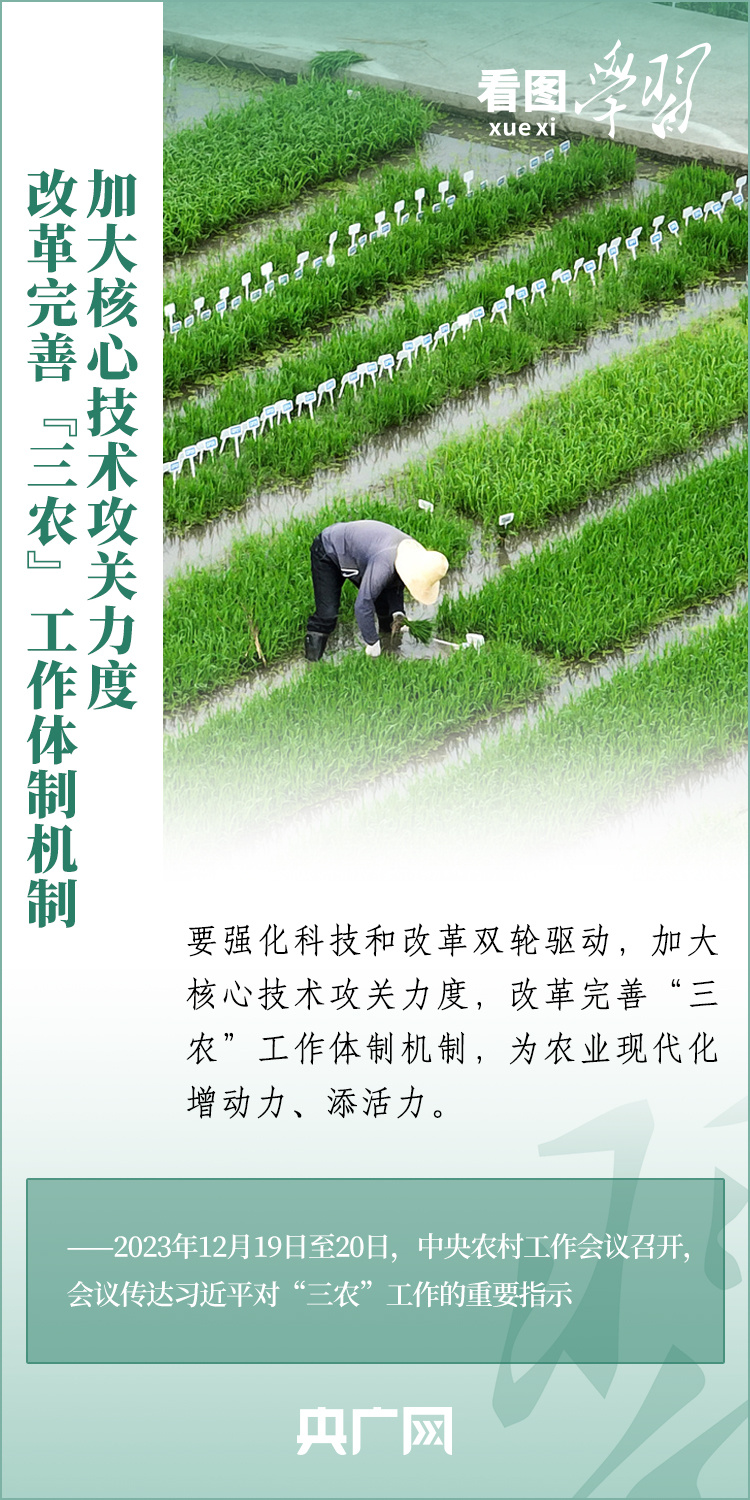 看圖學習丨推廣良田、良種、良法、良機 給農(nóng)業(yè)現(xiàn)代化插上科技的翅膀