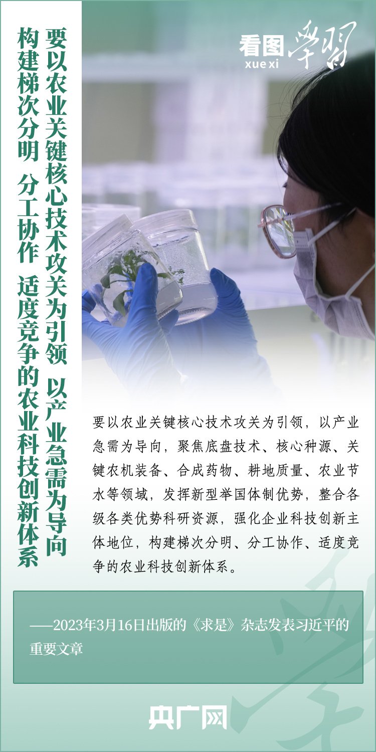 看圖學習丨推廣良田、良種、良法、良機 給農(nóng)業(yè)現(xiàn)代化插上科技的翅膀