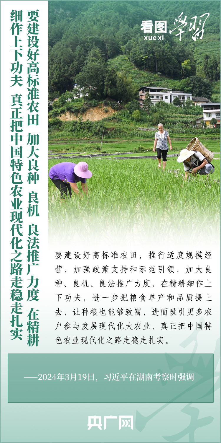 看圖學習丨推廣良田、良種、良法、良機 給農(nóng)業(yè)現(xiàn)代化插上科技的翅膀