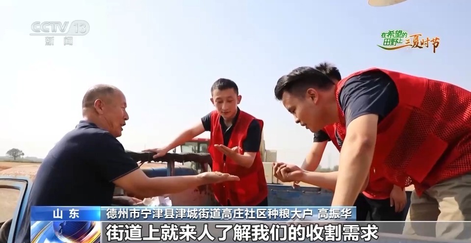 “三夏”生產(chǎn)思維導(dǎo)圖安排上了！還有政府大院等你來“曬”