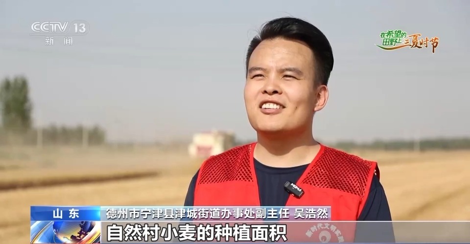 “三夏”生產(chǎn)思維導(dǎo)圖安排上了！還有政府大院等你來“曬”