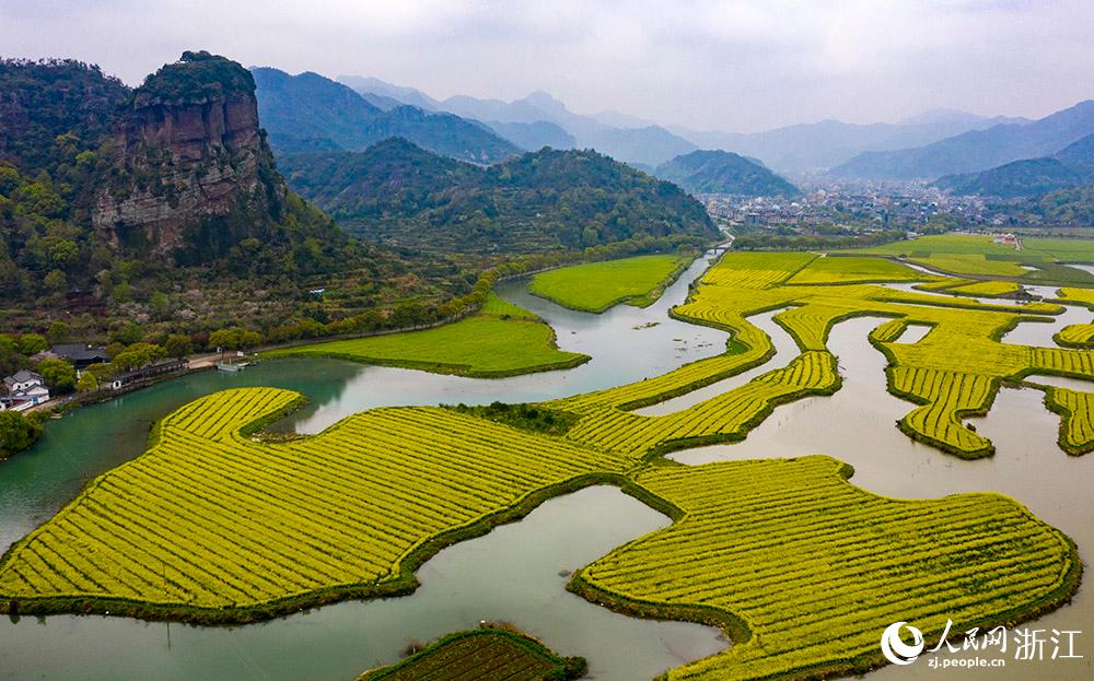 3月28日，航拍浙江省臨海市桃渚鎮(zhèn)桃江十三渚盛開的油菜花景色。人民網(wǎng) 章勇濤攝