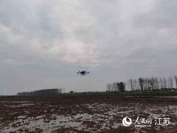 勝利圩高標(biāo)準(zhǔn)農(nóng)田進(jìn)行無(wú)人機(jī)水稻播種。陽(yáng)江鎮(zhèn)供圖