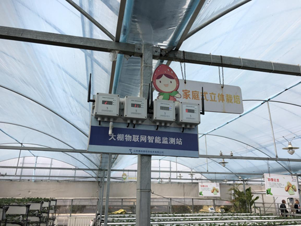 都市四季果園內(nèi)的物聯(lián)網(wǎng)智能監(jiān)測(cè)站系統(tǒng)。東?？h委宣傳部供圖