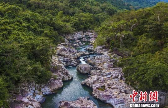 2018年海南生態(tài)環(huán)境狀況等級為“優(yōu)”，植被覆蓋率高，生物多樣性豐富，生態(tài)系統(tǒng)穩(wěn)定，圖為海南中部熱帶雨林?！●樤骑w　攝