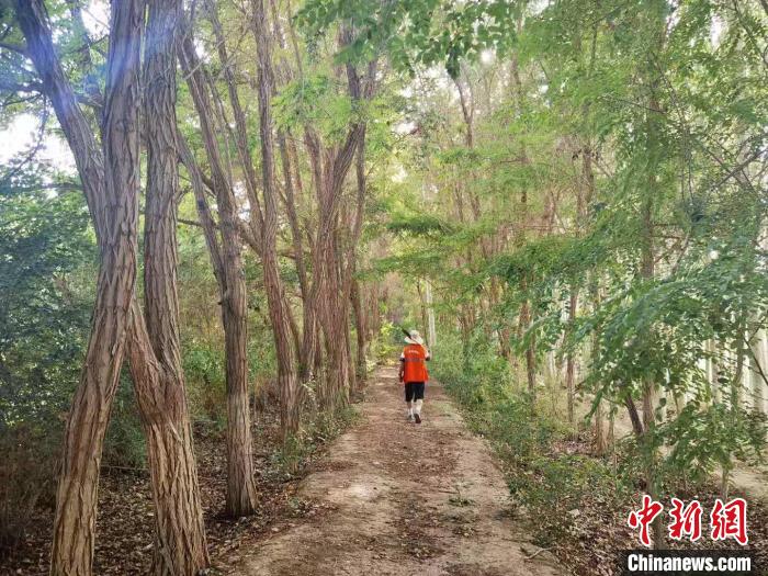 戈壁灘上的護林員：以前風(fēng)吹睜不開眼，現(xiàn)在滿眼皆綠色