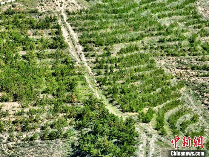航拍建行青海省分行綠化區(qū)?！∑钤鲚?攝