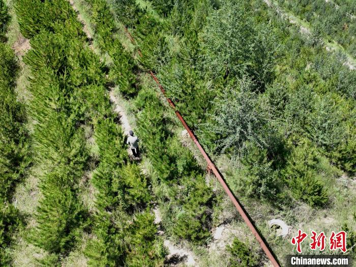 航拍建行青海省分行綠化區(qū)施工隊隊長盧占祥正在巡護綠化區(qū)?！∑钤鲚?攝