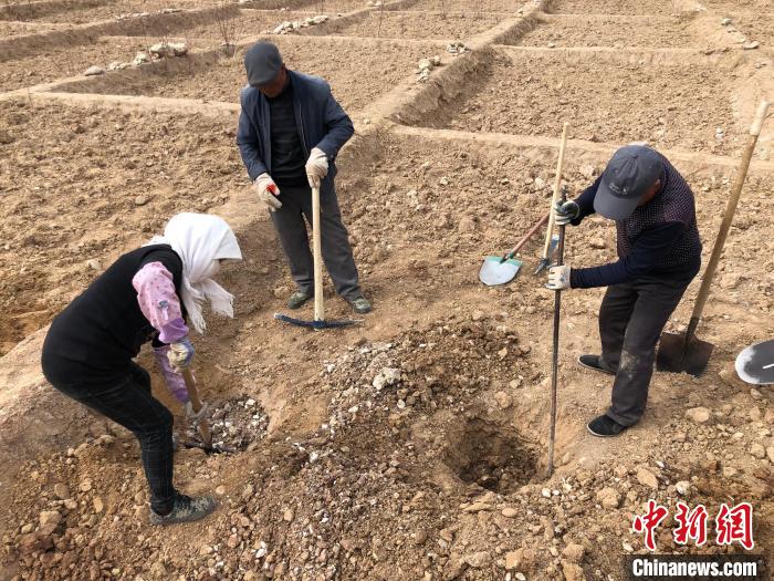 資料圖為建行青海省分行綠化區(qū)施工隊隊員處理亂石?！〗ㄐ星嗪Ｊ》中泄﹫D