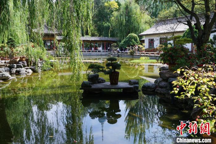 圖為西寧園林植物園秋日風(fēng)景別有韻味。　馬銘言 攝