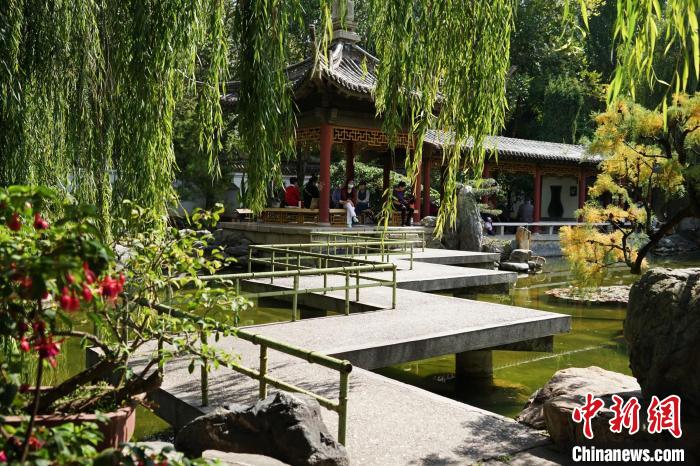 圖為西寧園林植物園秋日風(fēng)景別有韻味?！●R銘言 攝