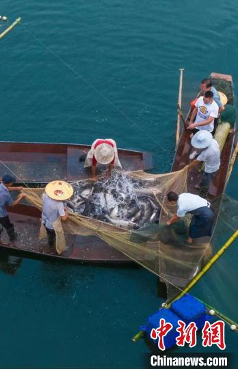 捕魚現(xiàn)場。　主辦方供圖
