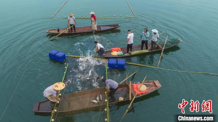 捕魚現(xiàn)場?！≈鬓k方供圖