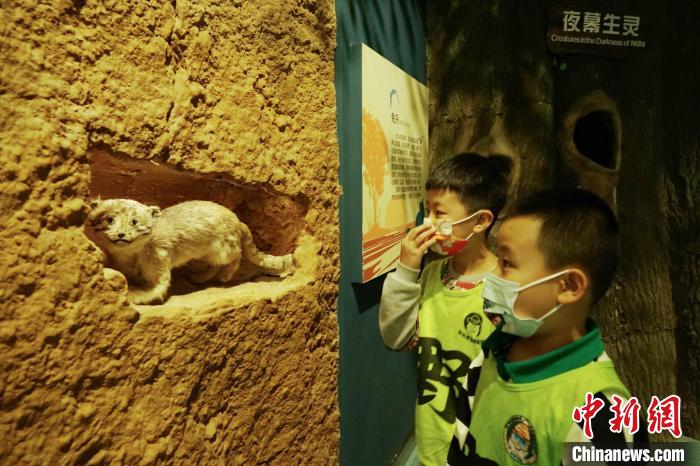 圖為小朋友在青海西寧湟水國家濕地公園科普館內(nèi)參觀學(xué)習(xí)?！●R銘言 攝