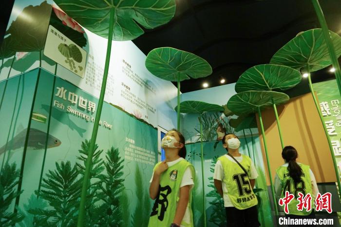 圖為小朋友在青海西寧湟水國家濕地公園科普館內(nèi)參觀學(xué)習(xí)。　馬銘言 攝