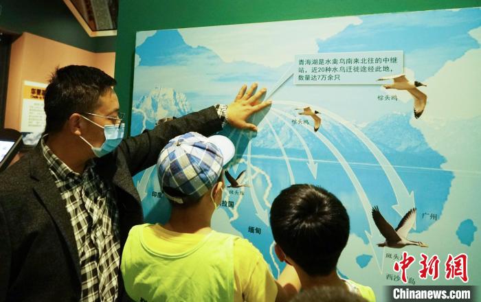圖為小朋友在青海西寧湟水國家濕地公園科普館內(nèi)參觀學(xué)習(xí)?！●R銘言 攝